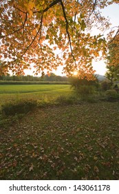 Autumn Leaves At Sunset In Litchfield Hills Of Connecticut