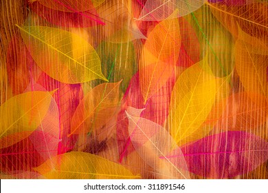 Autumn Leaves Texture. Abstract Background