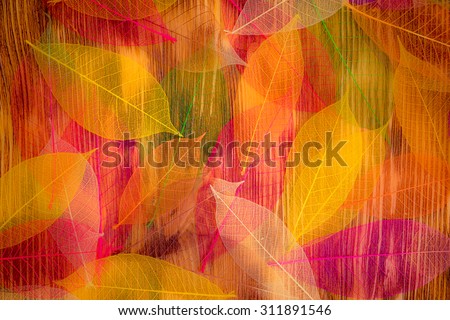 Autumn leaves texture. Abstract background