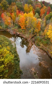Autumn Leaves in the Valley of the Sixteen Mile Creek, Ontario, Canada