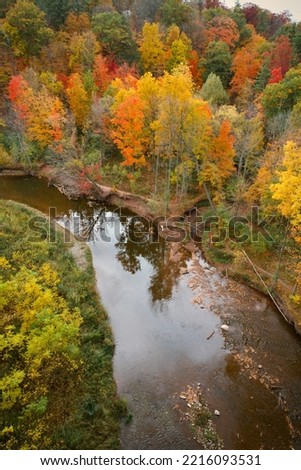 Autumn Leaves in the Valley of the Sixteen Mile Creek, Ontario, Canada