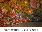 Autumn leaves and a weathered boathouse offer a splash of color at DeSoto Falls, Nov. 4, 2017 in Mentone, Alabama. The area features a 104-foot waterfall and is part of DeSoto State Park.