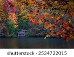 Autumn leaves and a weathered boathouse offer a splash of color at DeSoto Falls, Nov. 4, 2017 in Mentone, Alabama. The area features a 104-foot waterfall and is part of DeSoto State Park.