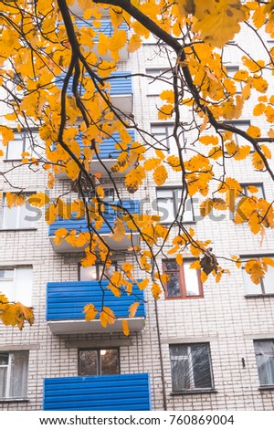 Similar – Image, Stock Photo UT I Only floating is more beautiful I Balcony