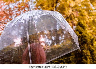 Autumn. Lonely sad woman under a transparent umbrella with rain drops walking in a park, garden. Rainy day landscape. Vintage Toned - Shutterstock ID 1819705349