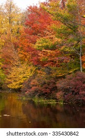 Autumn The Lord's Paintbrush.  Destination Gouldsboro State Park In Pennsylvania