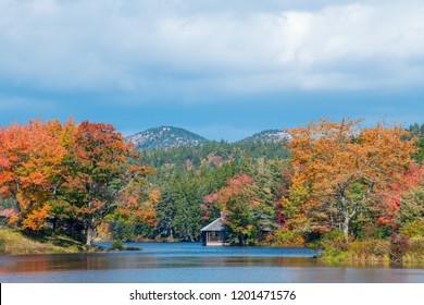 Autumn In Maine,Acadia National Park