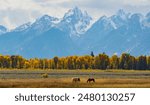 Autumn Majesty: The Teton Range in Fall Splendor