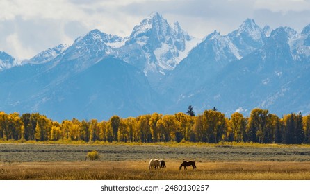 Autumn Majesty: The Teton Range in Fall Splendor - Powered by Shutterstock