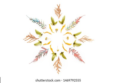 Autumn Mandala Made Of Plant Parts On White Background. Flat Lay.