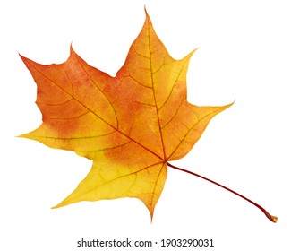 14,837,376 Autumn Images, Stock Photos & Vectors | Shutterstock