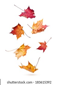 Autumn maple leaves falling down isolated on white background - Shutterstock ID 183615392