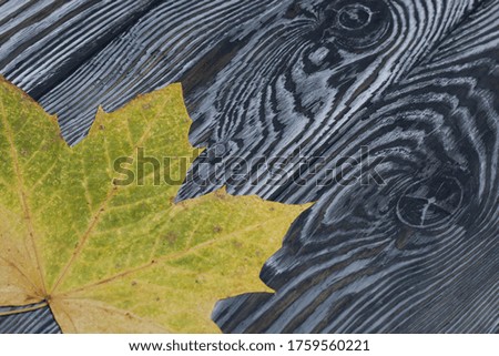 Similar – Image, Stock Photo Still Water Environment