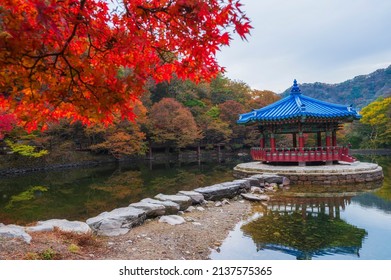 Autumn Maple Naejangsan National Park Reflection Stock Photo 2137575365 ...