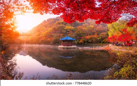 South Korea Nature Images, Stock & | Shutterstock