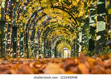 Autumn marks the transition from summer to winter, in September (Northern Hemisphere) or March (Southern Hemisphere), when the duration of daylight becomes noticeably shorter and the temperature cools
