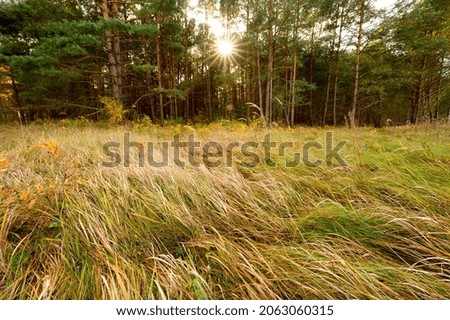 Similar – Foto Bild Die angenehme Stimmung der Natur