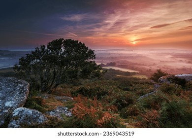 Autumn mist at sunrise on Helman Tor a wild craggy outcrop of granite moorland near Bodmin in Cornwall - Powered by Shutterstock