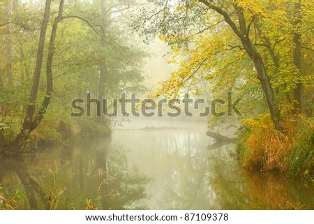 Autumn misty day on a Radbuza river. Beaver sanctuary.  Beautiful place in The Western Bohemia, Czech Republic, Europe.