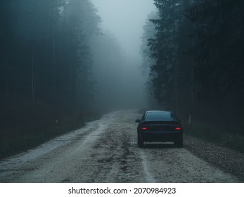 Autumn misty landscape. Car on a dirt road , pine forest , thick fog