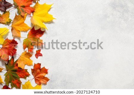 Autumn mood background. Frame made of autumn dried leaves on white background. Autumn, fall, thanksgiving day concept. Flat lay, top view, copy space