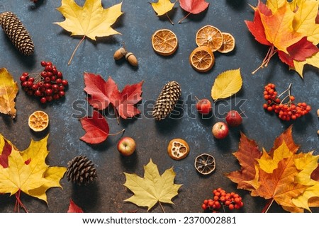 Autumn mood flat lay. Floral pattern made of dreid fall leaves, red beries, cones, apples on dark blue table background. Happy holidays, thanksgiving day, cozy home weekend, hygge. Top view, overhead