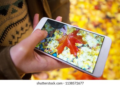 autumn mood - girl is taking a photo on smartphone autumn maple leaves
 - Powered by Shutterstock