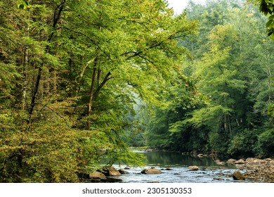 Autumn morning along the Back Fork of Elk River, Webster County, West Virginia, USA - Shutterstock ID 2305130353