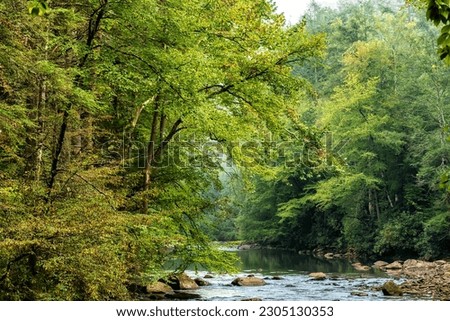 Autumn morning along the Back Fork of Elk River, Webster County, West Virginia, USA