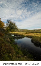 Autumn Morning In Canaan Valley State Park, WV