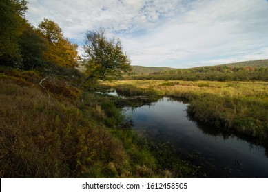 Autumn Morning In Canaan Valley State Park, WV