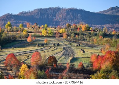 Autumn Morning In Maramures, Romania