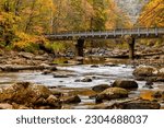 Autumn morning on the Cranberry River, Forest Service Route 76 bridge, Monongahela National Forest, West Virginia, USA