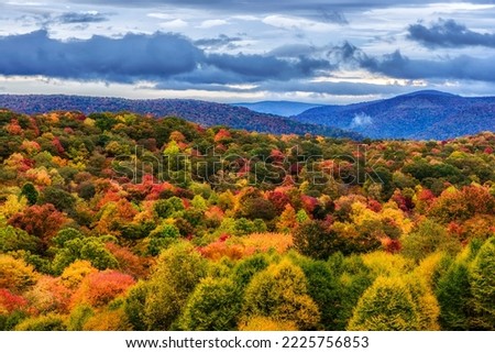 Autumn morning on Point Mountain in Webster County, West Virginia, USA
