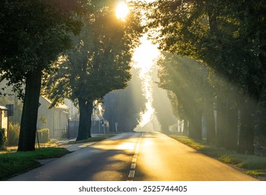 autumn morning on a street in the countryside. dawn, sunlight shining through the trees. warm sun rays. autumn landscape. - Powered by Shutterstock