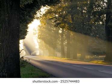 autumn morning on a street in the countryside. dawn, sunlight shining through the trees. warm sun rays. autumn landscape. - Powered by Shutterstock