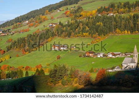 Similar – Image, Stock Photo autumn morning Environment