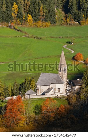 Similar – Image, Stock Photo autumn morning Environment