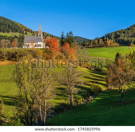 Similar – Image, Stock Photo autumn morning Environment