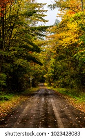 An Autumn Morning Spent Driving Along Dirt And Gravel Roads In The Finger Lakes National Forest In Central Upstate New York.