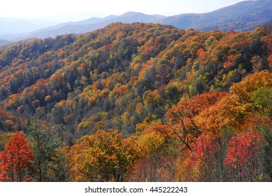 autumn mountain forest - Shutterstock ID 445222243