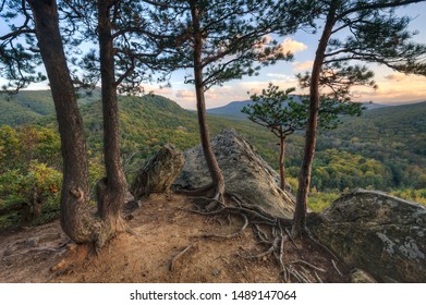 Autumn Mountain Forest With Pine Trees And Rocks On Foreground At Sunset. Beautiful Scenery. Plancheskiye Rocks, Seversky District, Krasnodar Region, West Caucasus, Russia