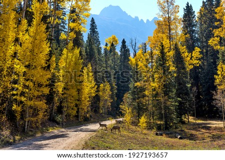 Similar – Image, Stock Photo wander Forest Peak Nature