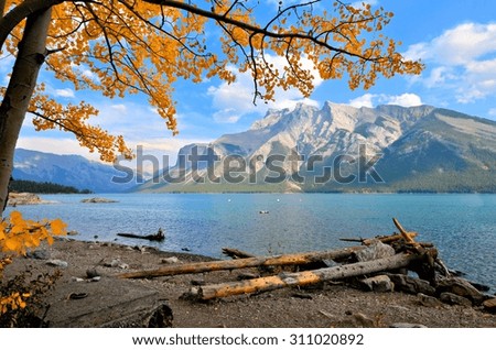 Similar – Image, Stock Photo forest lake Autumn Tree