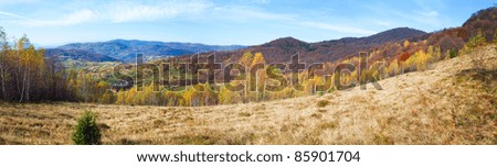 Similar – Image, Stock Photo Autumn mountain panorama. Sunny meadow and colorful forest