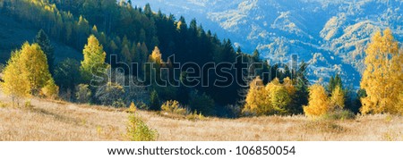 Similar – Image, Stock Photo Autumn mountain panorama. Sunny meadow and colorful forest