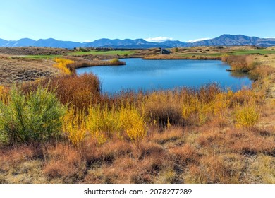 Autumn Mountain Pond - A colorful Autumn hilltop pond at Bear Creek Lake Park, Denver-Lakewood, Colorado, USA.