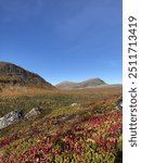 Autumn mountain scenery in Sweden with vibrant fall colors, featuring red and yellow foliage in the foreground, a dense green forest in the midground, and majestic mountains under a clear blue sky.