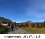 Autumn mountain scenery in Sweden with vibrant fall colors, featuring red and yellow foliage in the foreground, a dense green forest in the midground, and majestic mountains under a clear blue sky.