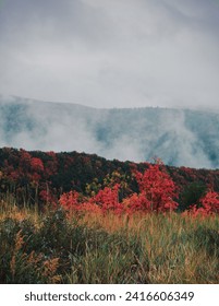 Autumn Mountain Scenery in Utah. Rockymountains